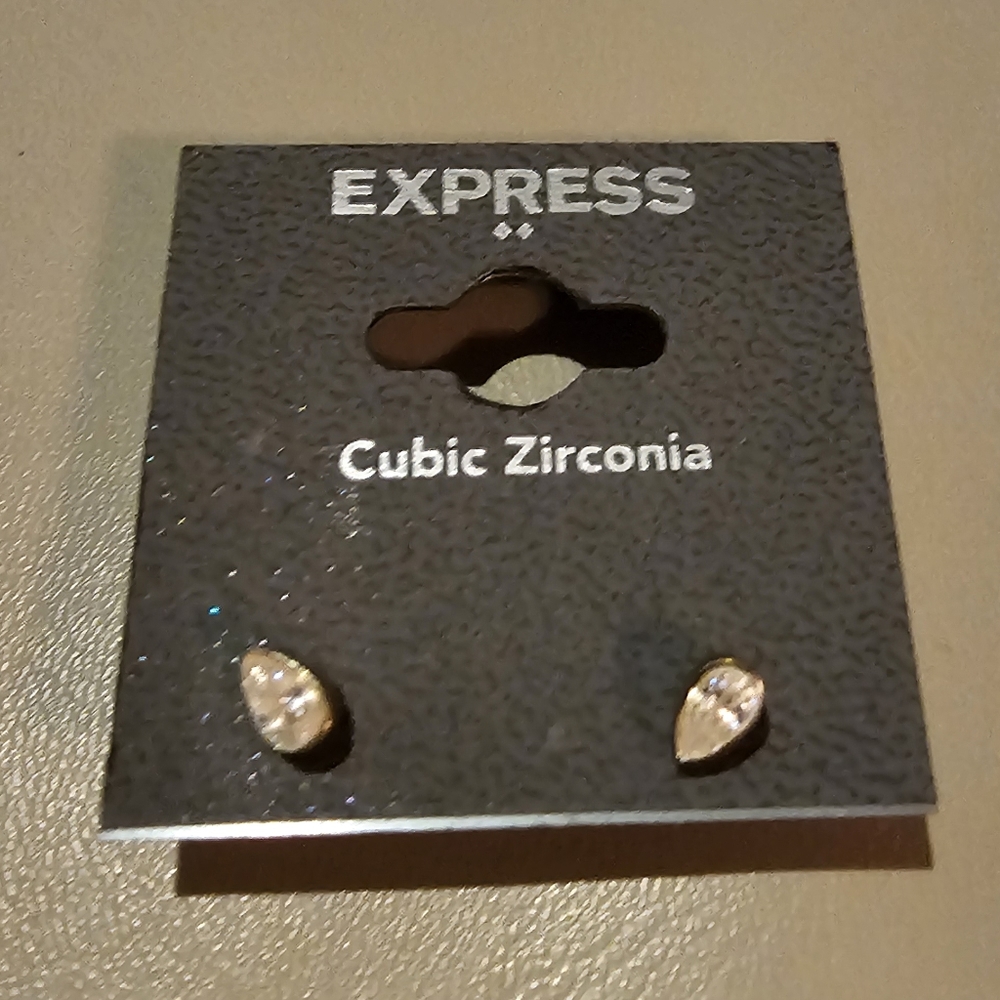 Express Earrings